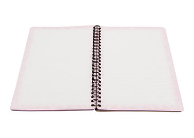 Notebook Printing Princess Hard Cover grating printing spiral bound book printing service